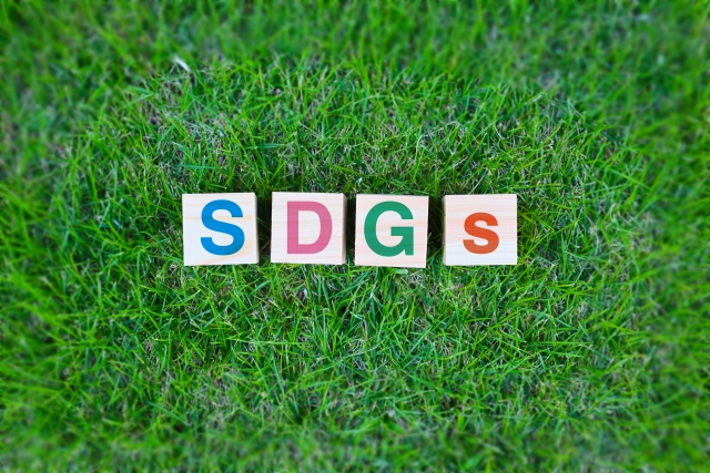 sdgs